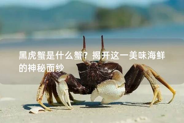 黑虎蟹是什么蟹？揭開這一美味海鮮的神秘面紗